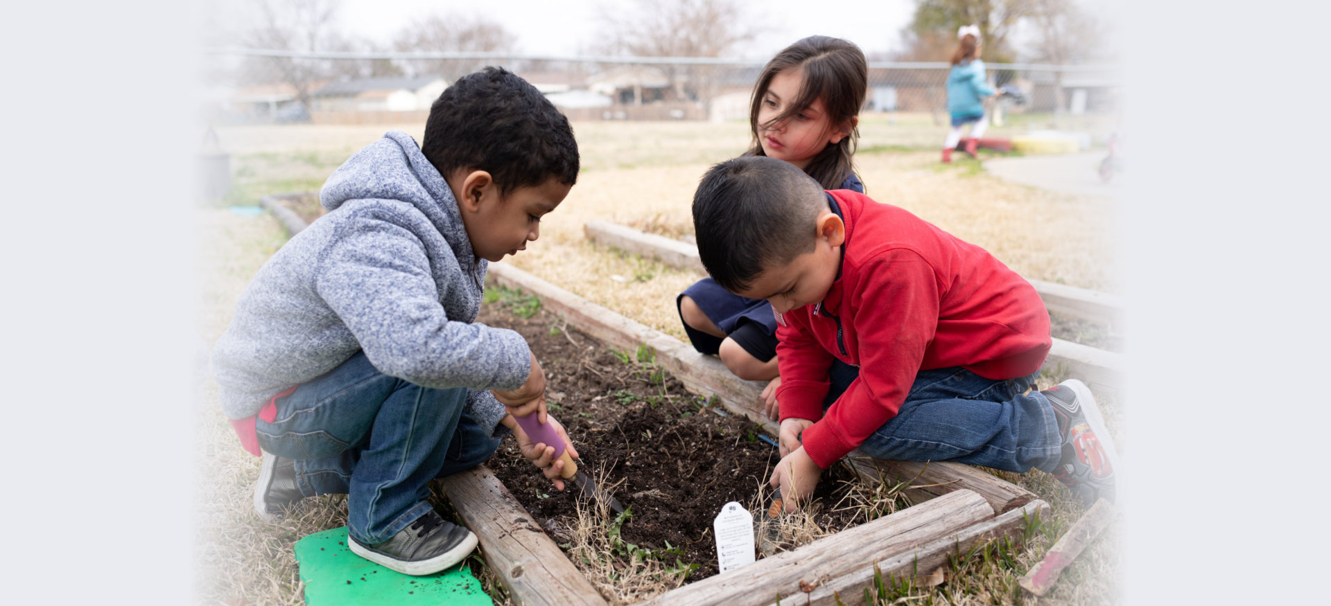 kids planting plants